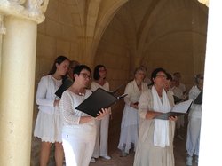Déambulation-concert à l'abbaye de TRIZAY   17 juin 2018